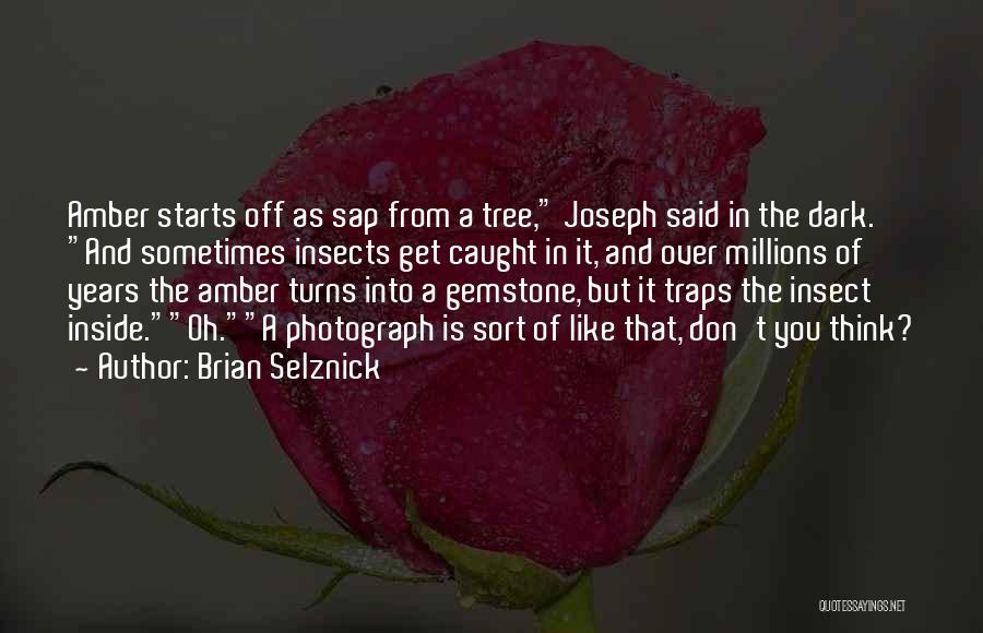 Brian Selznick Quotes: Amber Starts Off As Sap From A Tree, Joseph Said In The Dark. And Sometimes Insects Get Caught In It,