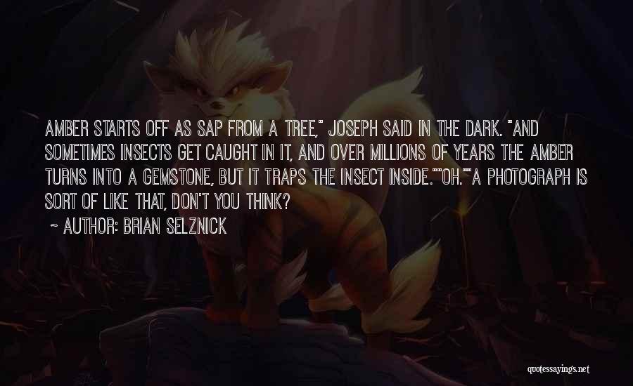 Brian Selznick Quotes: Amber Starts Off As Sap From A Tree, Joseph Said In The Dark. And Sometimes Insects Get Caught In It,