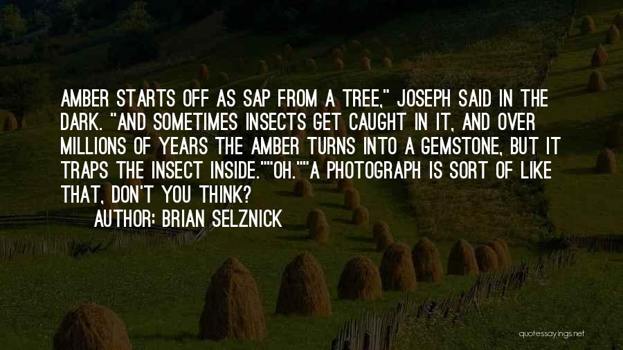 Brian Selznick Quotes: Amber Starts Off As Sap From A Tree, Joseph Said In The Dark. And Sometimes Insects Get Caught In It,