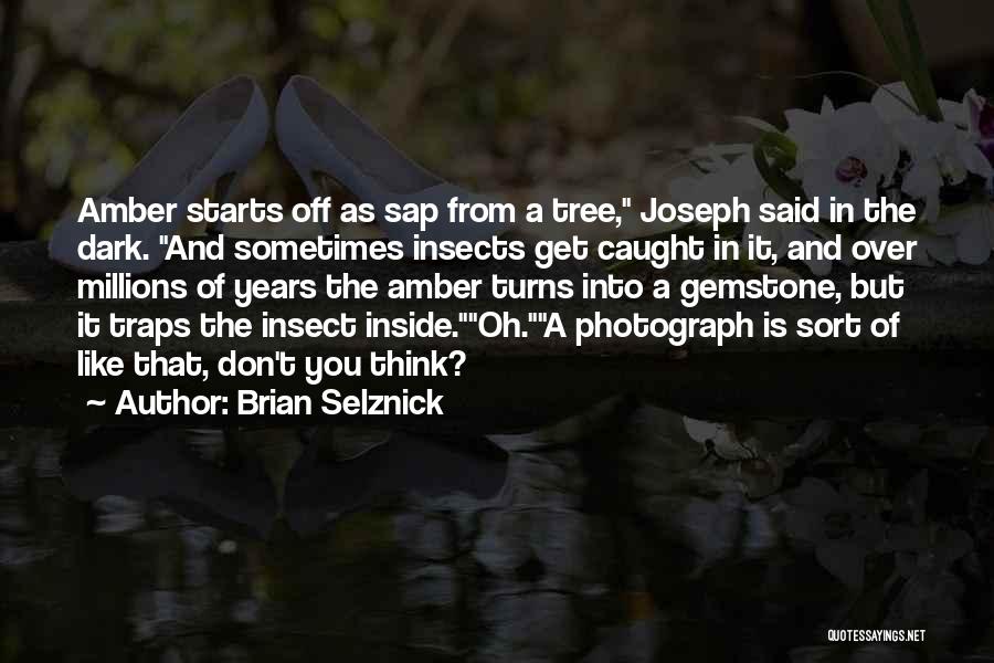 Brian Selznick Quotes: Amber Starts Off As Sap From A Tree, Joseph Said In The Dark. And Sometimes Insects Get Caught In It,