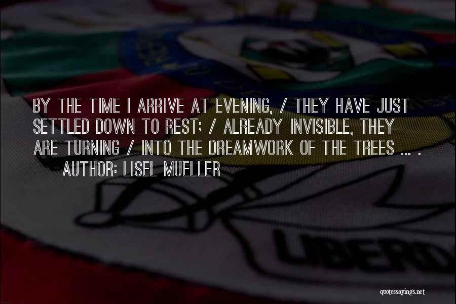 Lisel Mueller Quotes: By The Time I Arrive At Evening, / They Have Just Settled Down To Rest; / Already Invisible, They Are
