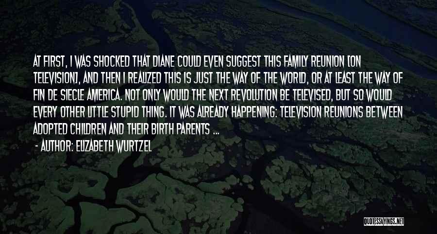 Elizabeth Wurtzel Quotes: At First, I Was Shocked That Diane Could Even Suggest This Family Reunion [on Television], And Then I Realized This