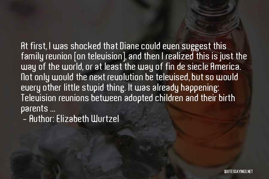 Elizabeth Wurtzel Quotes: At First, I Was Shocked That Diane Could Even Suggest This Family Reunion [on Television], And Then I Realized This