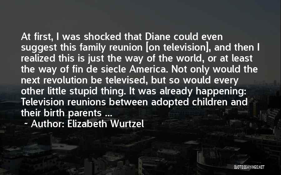 Elizabeth Wurtzel Quotes: At First, I Was Shocked That Diane Could Even Suggest This Family Reunion [on Television], And Then I Realized This