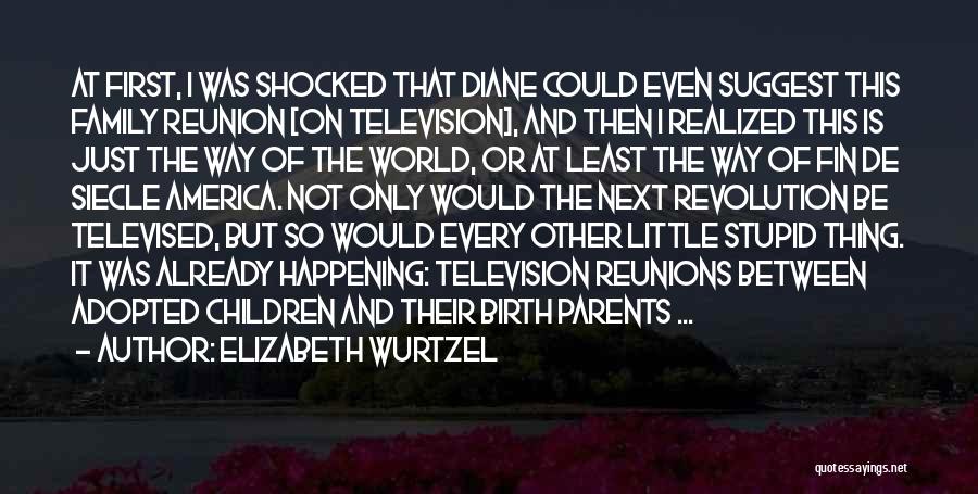 Elizabeth Wurtzel Quotes: At First, I Was Shocked That Diane Could Even Suggest This Family Reunion [on Television], And Then I Realized This