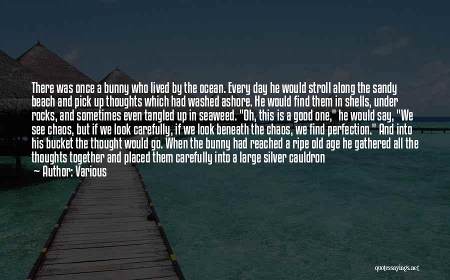 Various Quotes: There Was Once A Bunny Who Lived By The Ocean. Every Day He Would Stroll Along The Sandy Beach And