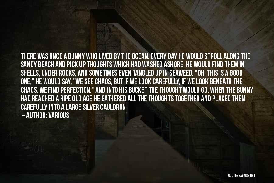 Various Quotes: There Was Once A Bunny Who Lived By The Ocean. Every Day He Would Stroll Along The Sandy Beach And