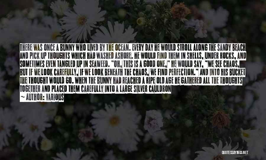 Various Quotes: There Was Once A Bunny Who Lived By The Ocean. Every Day He Would Stroll Along The Sandy Beach And