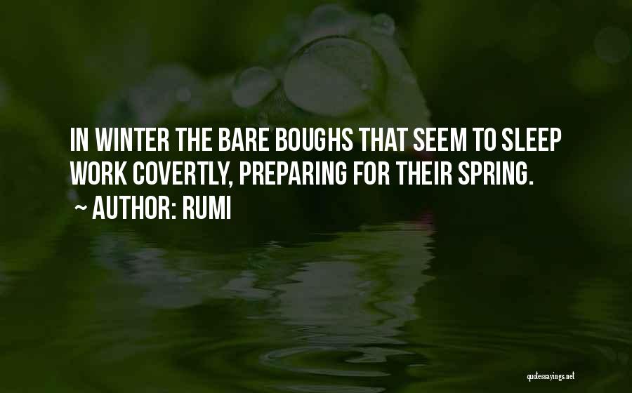 Rumi Quotes: In Winter The Bare Boughs That Seem To Sleep Work Covertly, Preparing For Their Spring.