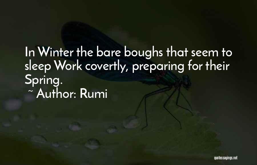 Rumi Quotes: In Winter The Bare Boughs That Seem To Sleep Work Covertly, Preparing For Their Spring.