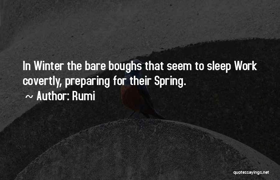 Rumi Quotes: In Winter The Bare Boughs That Seem To Sleep Work Covertly, Preparing For Their Spring.