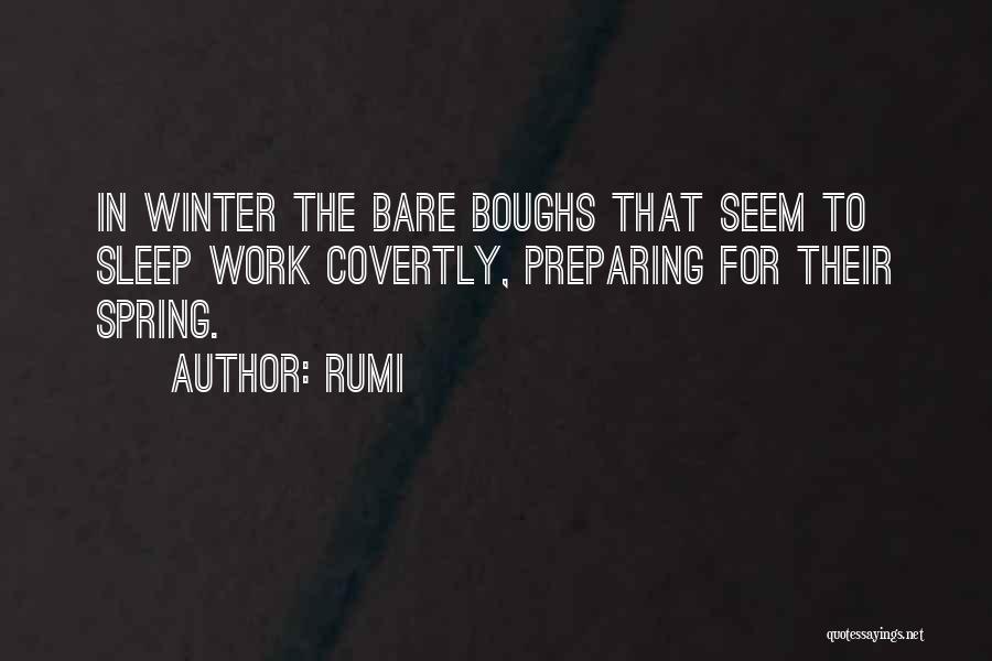 Rumi Quotes: In Winter The Bare Boughs That Seem To Sleep Work Covertly, Preparing For Their Spring.