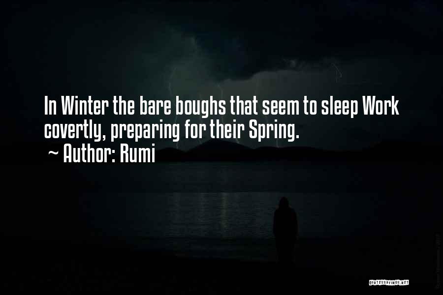 Rumi Quotes: In Winter The Bare Boughs That Seem To Sleep Work Covertly, Preparing For Their Spring.