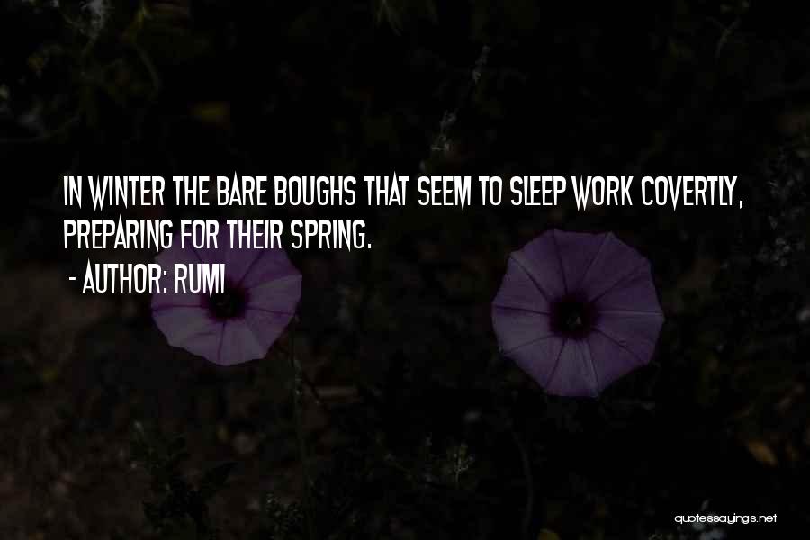 Rumi Quotes: In Winter The Bare Boughs That Seem To Sleep Work Covertly, Preparing For Their Spring.