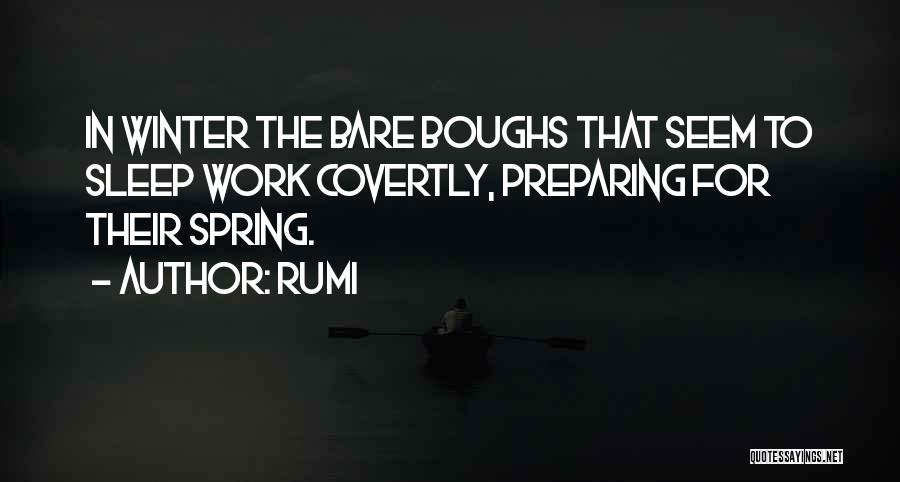 Rumi Quotes: In Winter The Bare Boughs That Seem To Sleep Work Covertly, Preparing For Their Spring.