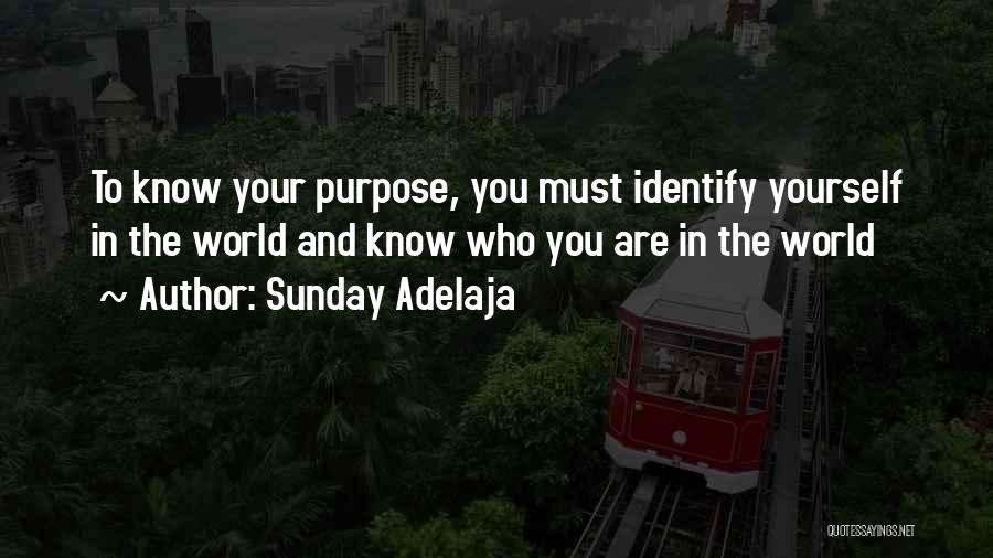 Sunday Adelaja Quotes: To Know Your Purpose, You Must Identify Yourself In The World And Know Who You Are In The World