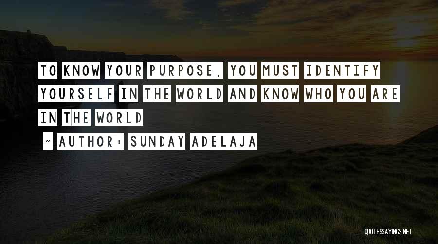 Sunday Adelaja Quotes: To Know Your Purpose, You Must Identify Yourself In The World And Know Who You Are In The World