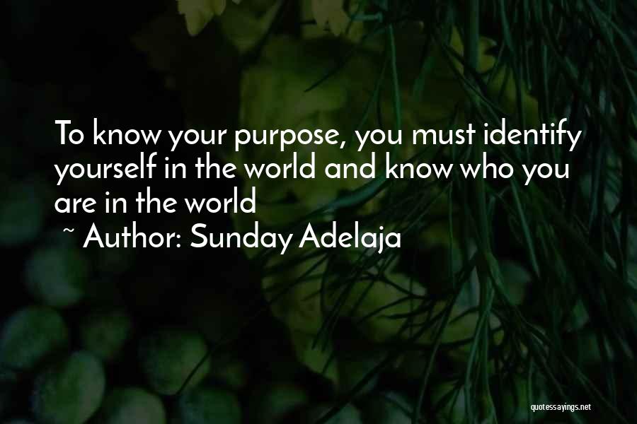 Sunday Adelaja Quotes: To Know Your Purpose, You Must Identify Yourself In The World And Know Who You Are In The World