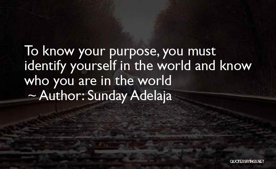 Sunday Adelaja Quotes: To Know Your Purpose, You Must Identify Yourself In The World And Know Who You Are In The World