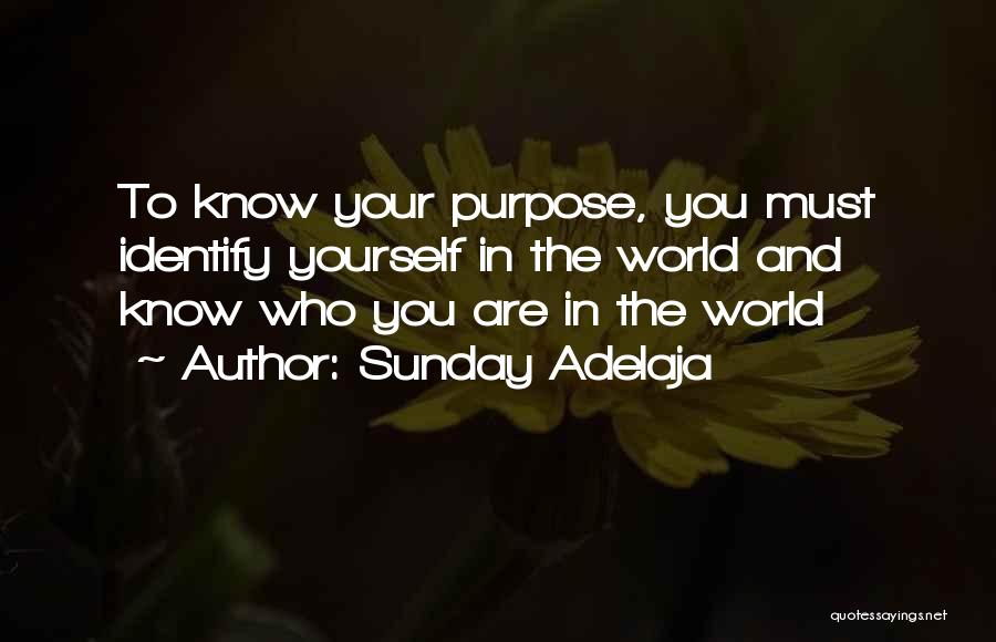 Sunday Adelaja Quotes: To Know Your Purpose, You Must Identify Yourself In The World And Know Who You Are In The World