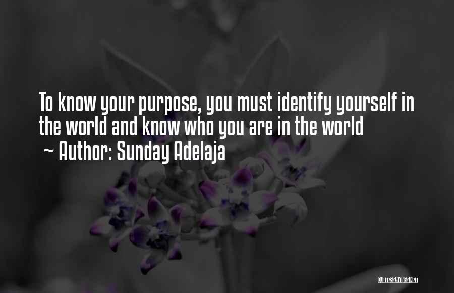 Sunday Adelaja Quotes: To Know Your Purpose, You Must Identify Yourself In The World And Know Who You Are In The World