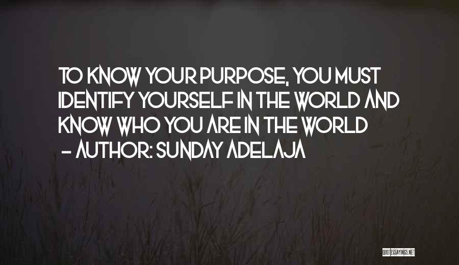 Sunday Adelaja Quotes: To Know Your Purpose, You Must Identify Yourself In The World And Know Who You Are In The World