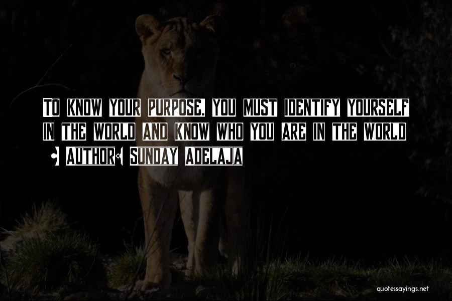 Sunday Adelaja Quotes: To Know Your Purpose, You Must Identify Yourself In The World And Know Who You Are In The World