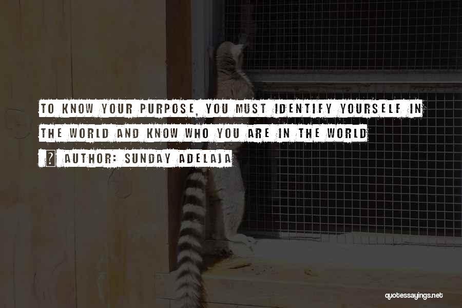 Sunday Adelaja Quotes: To Know Your Purpose, You Must Identify Yourself In The World And Know Who You Are In The World