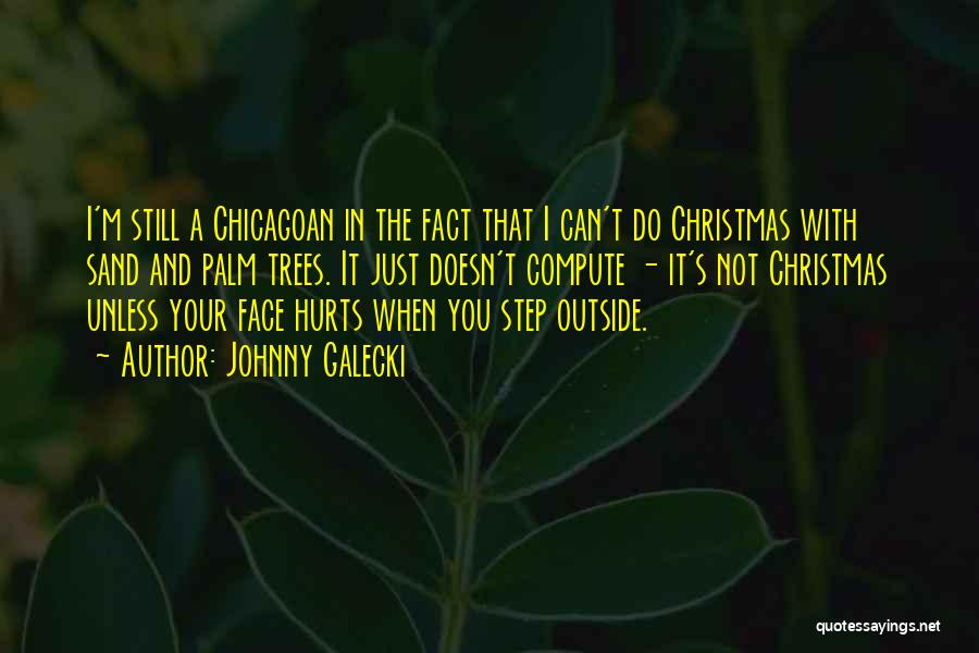 Johnny Galecki Quotes: I'm Still A Chicagoan In The Fact That I Can't Do Christmas With Sand And Palm Trees. It Just Doesn't