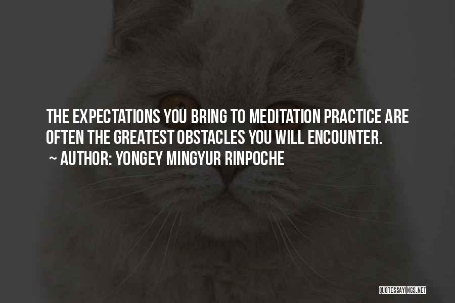 Yongey Mingyur Rinpoche Quotes: The Expectations You Bring To Meditation Practice Are Often The Greatest Obstacles You Will Encounter.