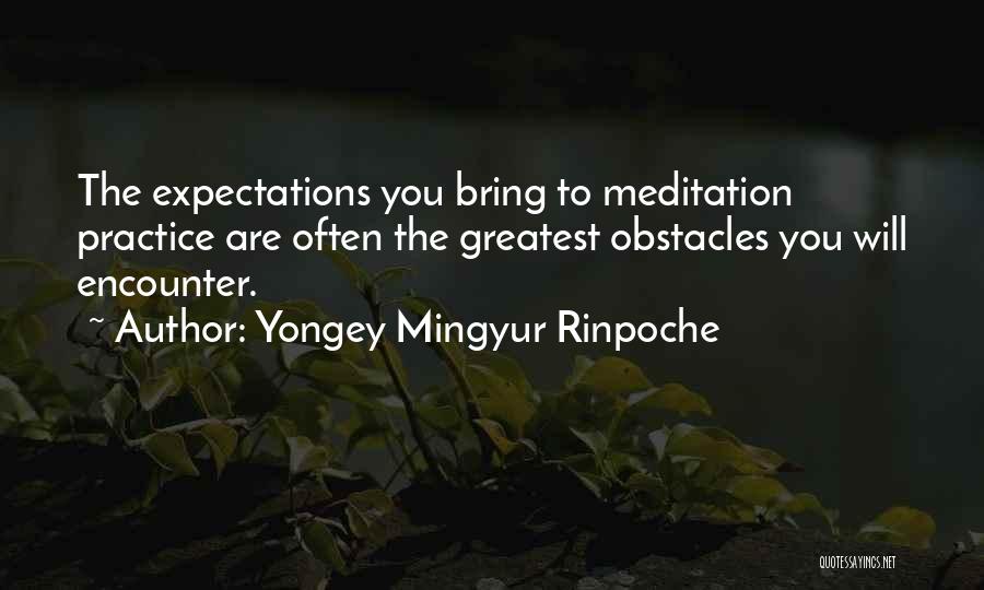 Yongey Mingyur Rinpoche Quotes: The Expectations You Bring To Meditation Practice Are Often The Greatest Obstacles You Will Encounter.