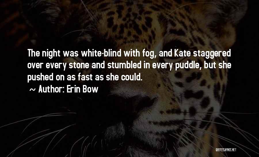 Erin Bow Quotes: The Night Was White-blind With Fog, And Kate Staggered Over Every Stone And Stumbled In Every Puddle, But She Pushed