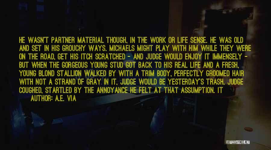 A.E. Via Quotes: He Wasn't Partner Material Though, In The Work Or Life Sense. He Was Old And Set In His Grouchy Ways.