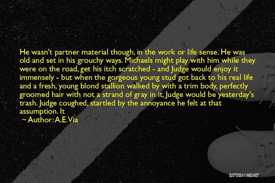 A.E. Via Quotes: He Wasn't Partner Material Though, In The Work Or Life Sense. He Was Old And Set In His Grouchy Ways.