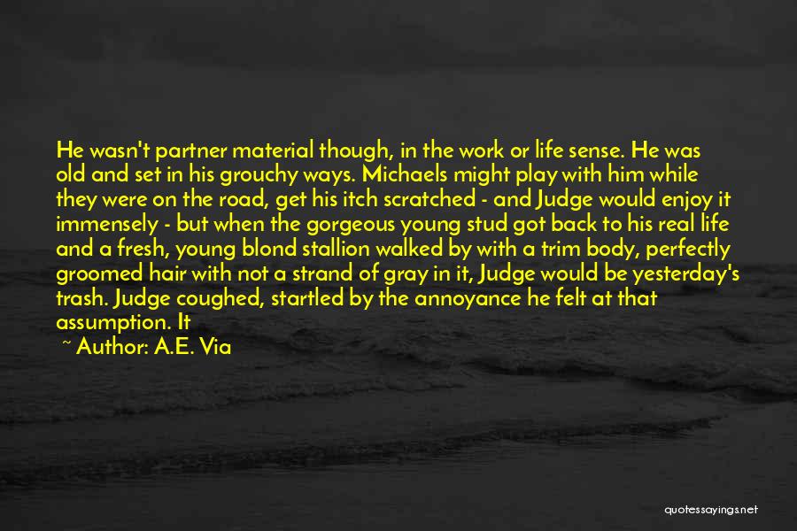 A.E. Via Quotes: He Wasn't Partner Material Though, In The Work Or Life Sense. He Was Old And Set In His Grouchy Ways.