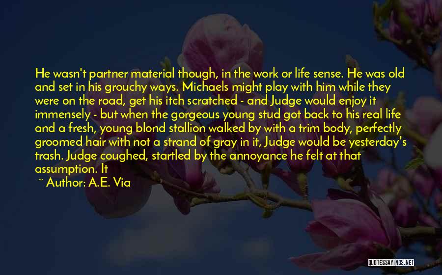 A.E. Via Quotes: He Wasn't Partner Material Though, In The Work Or Life Sense. He Was Old And Set In His Grouchy Ways.