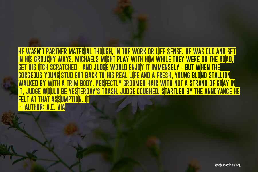 A.E. Via Quotes: He Wasn't Partner Material Though, In The Work Or Life Sense. He Was Old And Set In His Grouchy Ways.