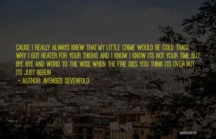 Avenged Sevenfold Quotes: Cause I Really Always Knew That My Little Crime Would Be Cold Thats Why I Got Heater For Your Thighs