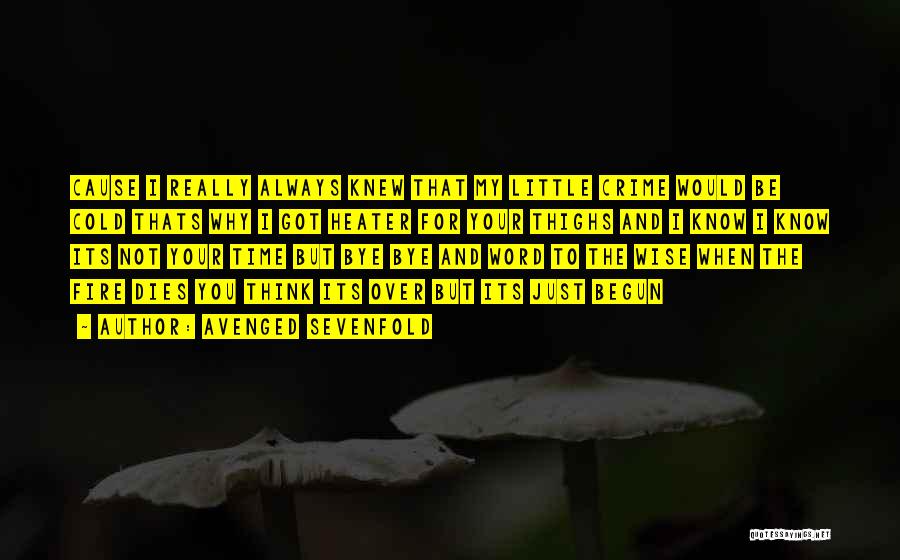 Avenged Sevenfold Quotes: Cause I Really Always Knew That My Little Crime Would Be Cold Thats Why I Got Heater For Your Thighs