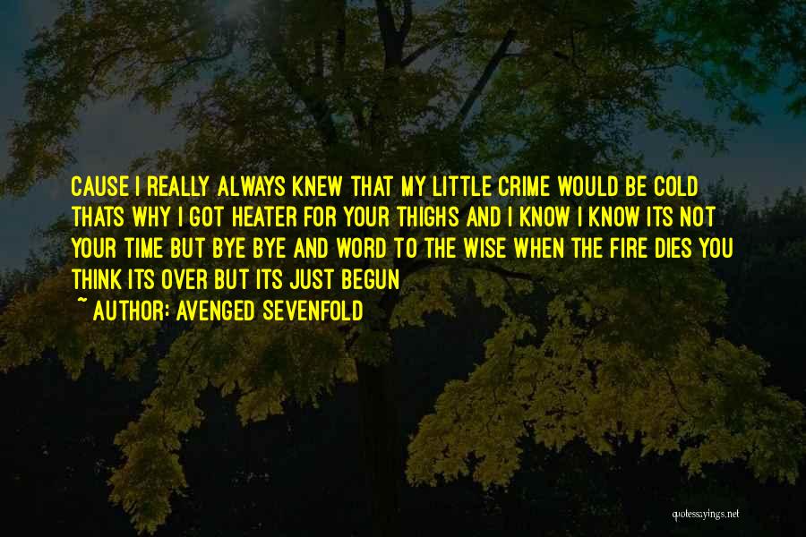 Avenged Sevenfold Quotes: Cause I Really Always Knew That My Little Crime Would Be Cold Thats Why I Got Heater For Your Thighs