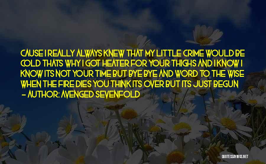 Avenged Sevenfold Quotes: Cause I Really Always Knew That My Little Crime Would Be Cold Thats Why I Got Heater For Your Thighs