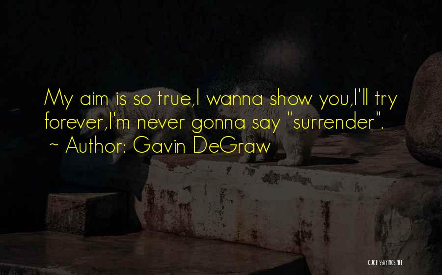 Gavin DeGraw Quotes: My Aim Is So True,i Wanna Show You,i'll Try Forever,i'm Never Gonna Say Surrender.