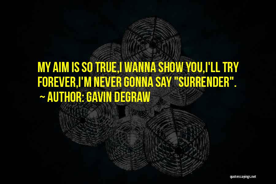 Gavin DeGraw Quotes: My Aim Is So True,i Wanna Show You,i'll Try Forever,i'm Never Gonna Say Surrender.