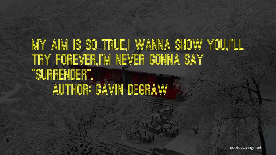 Gavin DeGraw Quotes: My Aim Is So True,i Wanna Show You,i'll Try Forever,i'm Never Gonna Say Surrender.