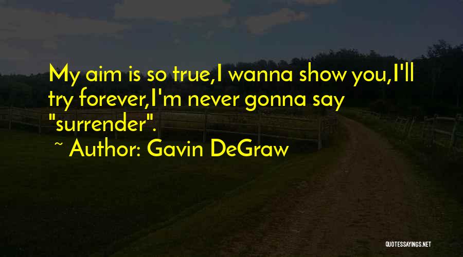 Gavin DeGraw Quotes: My Aim Is So True,i Wanna Show You,i'll Try Forever,i'm Never Gonna Say Surrender.