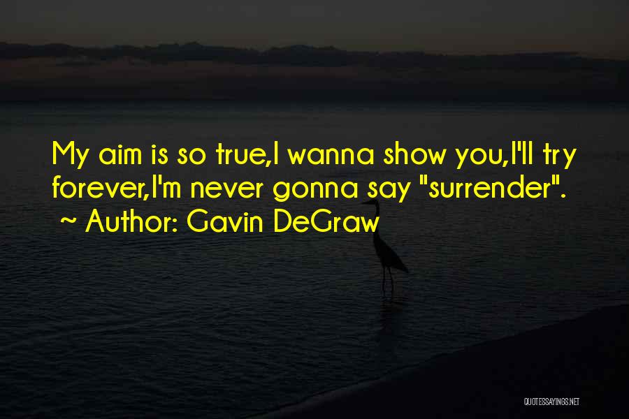 Gavin DeGraw Quotes: My Aim Is So True,i Wanna Show You,i'll Try Forever,i'm Never Gonna Say Surrender.