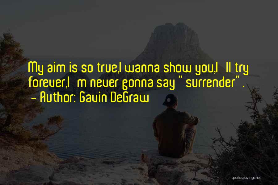 Gavin DeGraw Quotes: My Aim Is So True,i Wanna Show You,i'll Try Forever,i'm Never Gonna Say Surrender.