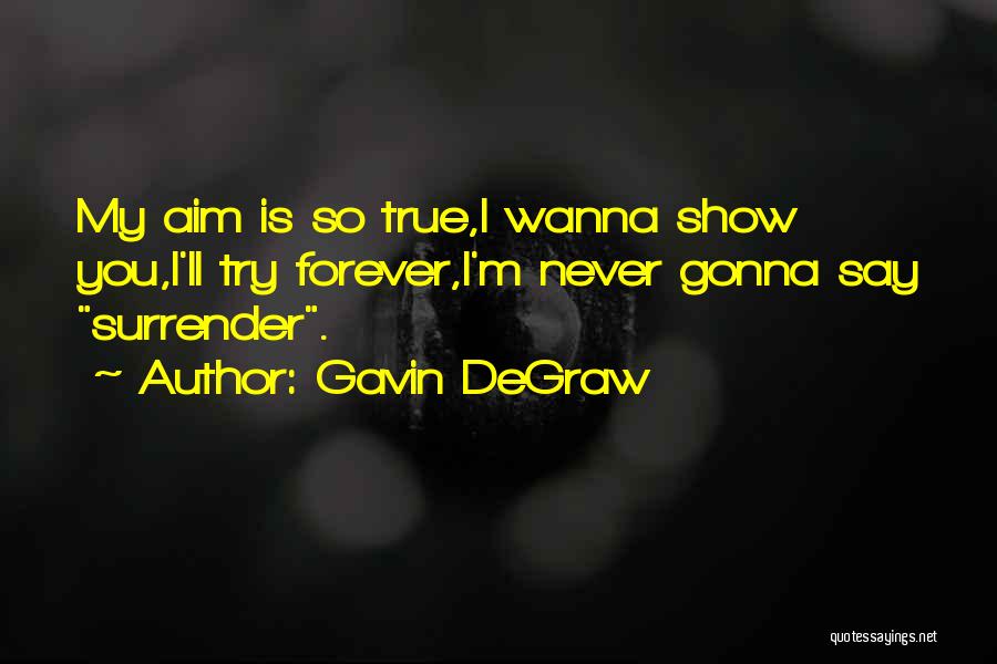 Gavin DeGraw Quotes: My Aim Is So True,i Wanna Show You,i'll Try Forever,i'm Never Gonna Say Surrender.