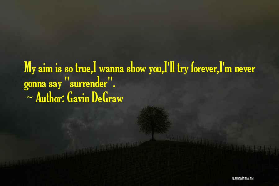 Gavin DeGraw Quotes: My Aim Is So True,i Wanna Show You,i'll Try Forever,i'm Never Gonna Say Surrender.