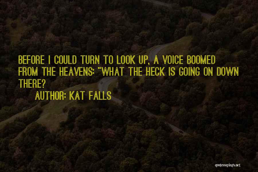 Kat Falls Quotes: Before I Could Turn To Look Up, A Voice Boomed From The Heavens: What The Heck Is Going On Down